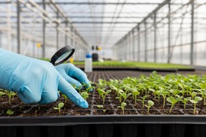 9. Međunarodni kongres oplemenjivanja bilja