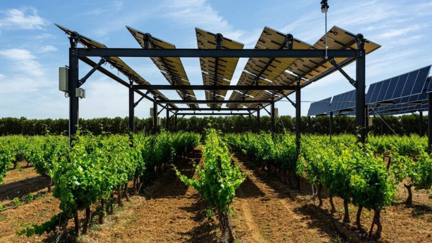 Rotirajući solarni paneli štite vinograde u Francuskoj