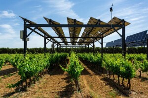 Rotirajući solarni paneli štite vinograde u Francuskoj
