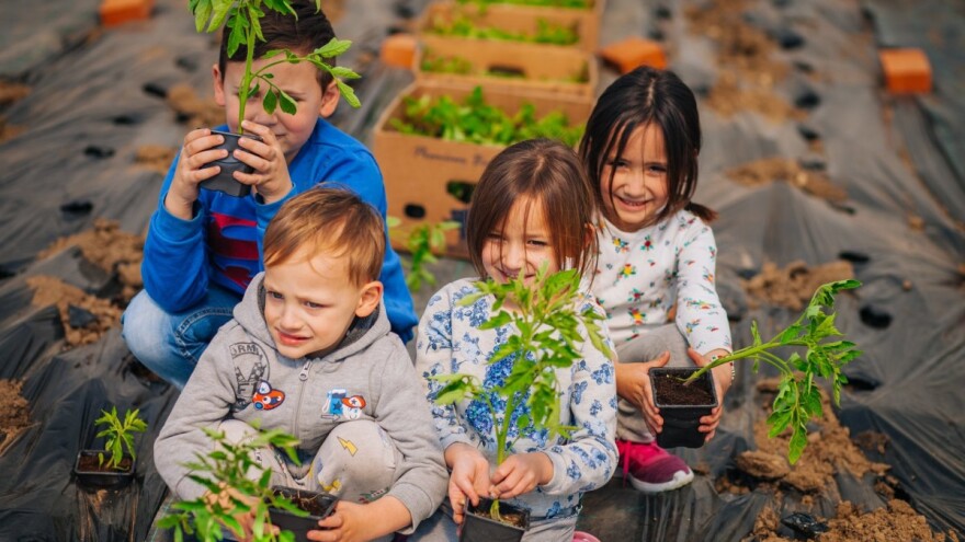 Rođaci sa sela: Povratkom na selo, želeli smo da hrani vratimo ukus