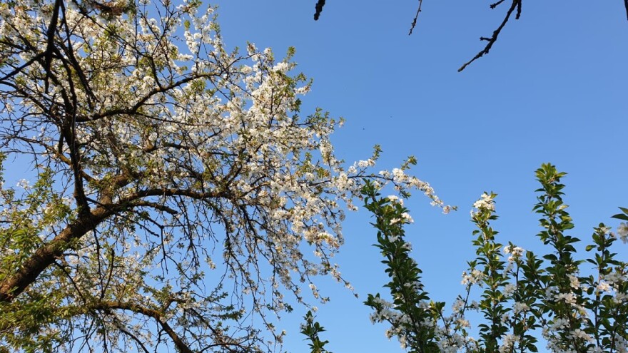 Prirodna nepogoda proglašena za Daruvar i Općinu Sirač