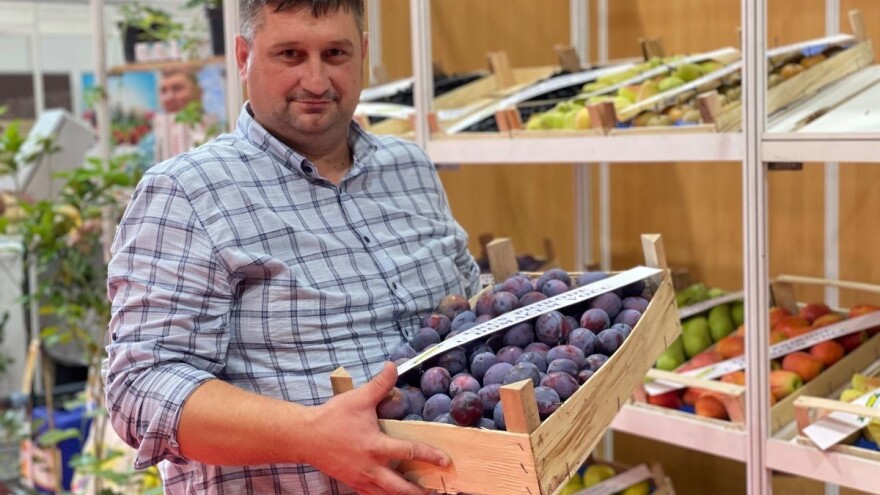 Trećina ovogodišnjeg roda šljive će propasti?