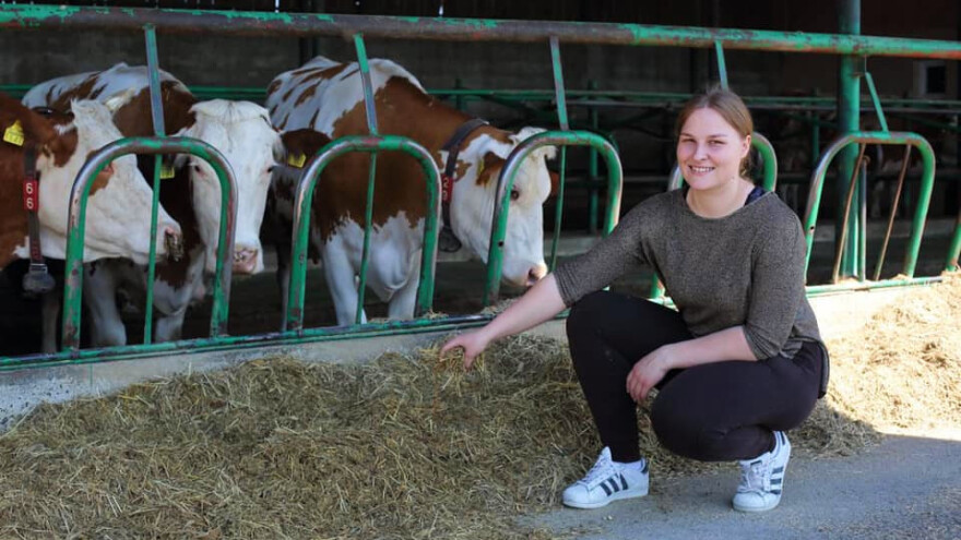 Ne odustaju od krava, mlijeka i prerade, škripavac s OPG-a Kruljac itekako tražen