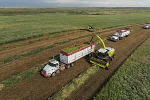 Claas Jaguar 1200 postavio Guinnessov rekord u žetvi pšenice za silažu