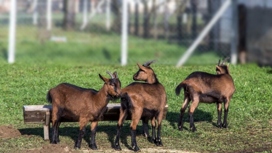 I dalje natprosječno toplo: Dobri preduslovi za pripremu jesenje sjetve