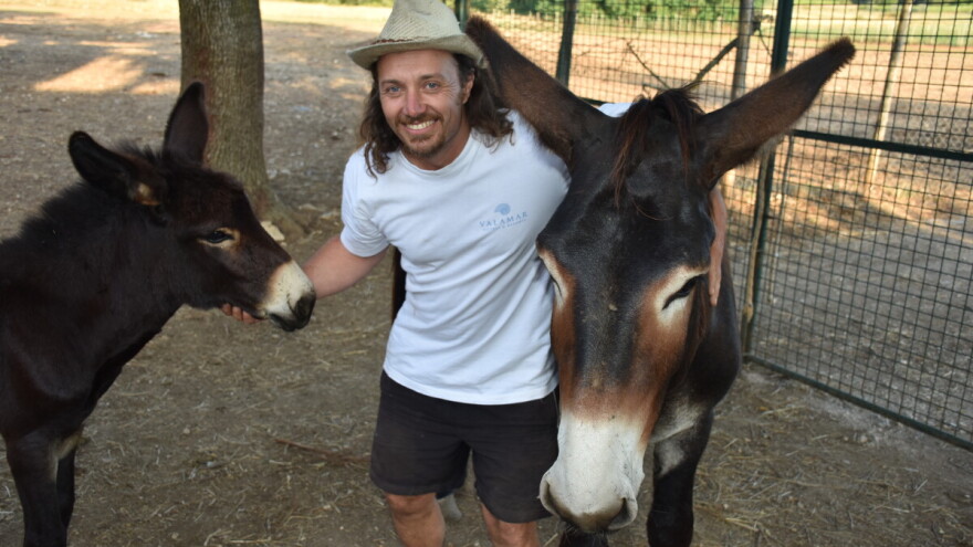 Davor Poropat: Istarska koza je simbol Istre, no simbol koji propada