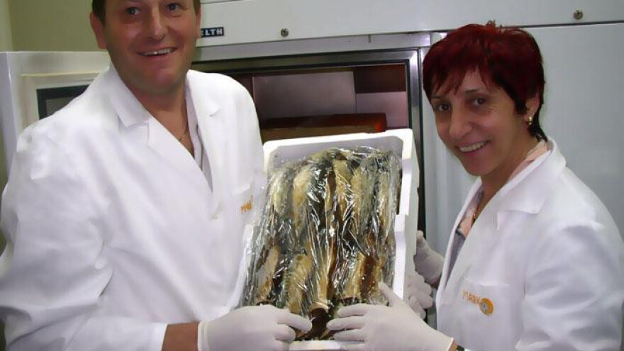 Vratili se iz Njemačke i pokrenuli preradu ribe dimljenjem