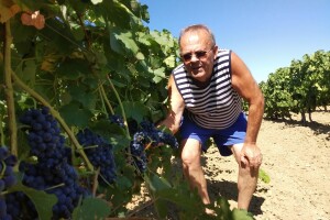Lekcija dr.sc. Anđelka Vrsaljka: Unatoč mrazu i suši u njegovom vinogradu rekordan urod