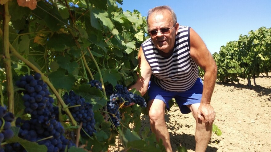 Lekcija dr.sc. Anđelka Vrsaljka: Unatoč mrazu i suši u njegovom vinogradu rekordan urod