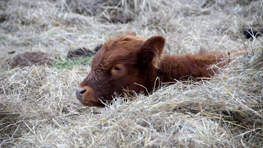 Blokirani računi 938 OPG-ova, dužni 414,6 milijuna kuna