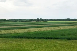 HPK: Komasacija je jedini pravi pokretač privatnih investicija u Planu oporavka