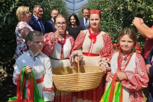 Vučković: Proizvodnja voća u Hrvatskoj se oporavlja, voćari se moraju udruživati