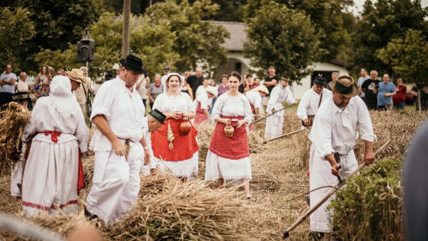 "Kruh naš svagdašnji - Žetva i vršidba u prošlosti" već tradicionalno zove u Županju