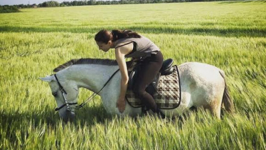 Kao mala je crtala konje, a sada ima Shagala