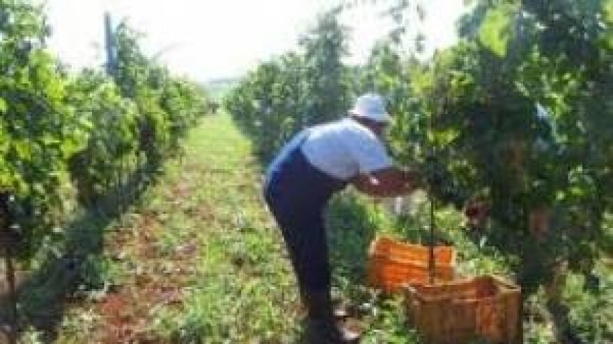 Još se čeka odluka ministarstva