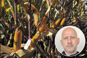 AgroChem MAKS pokrenuo novi sjemenski program Selectis, evo detalja
