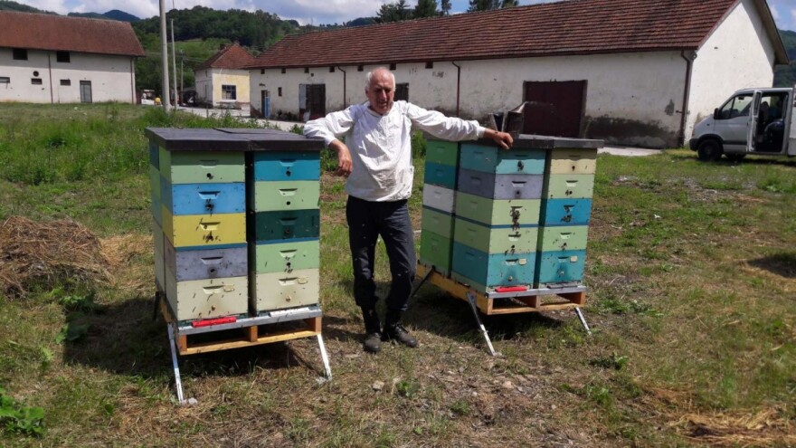 Kako savremenom opremom do 50 kg meda po košnici?