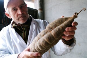 Slovencima kulen, Hrvatima kranjska kobasica?