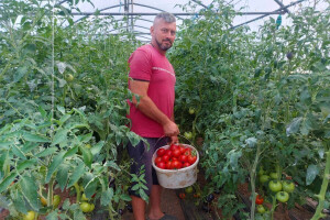 Kako je Adnan Pranjgić zaokružio svoju priču o poljoprivrednom biznisu?
