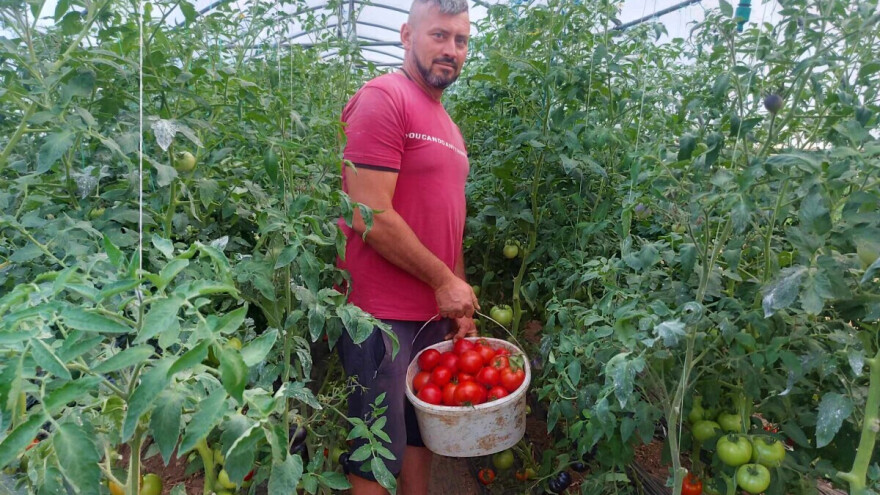 Kako je Adnan Pranjgić zaokružio svoju priču o poljoprivrednom biznisu?