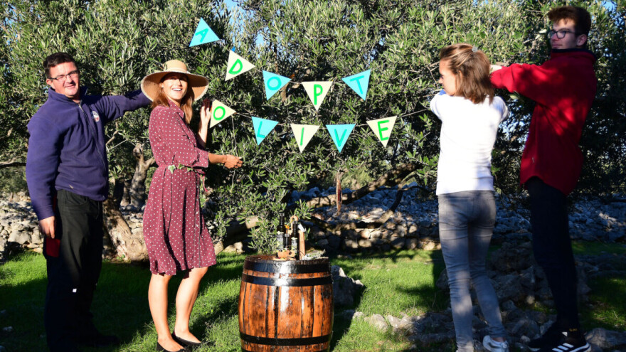 Posvojene stoljetne masline u Marinskoj Zagori  unikatan poklon za Novu godinu!