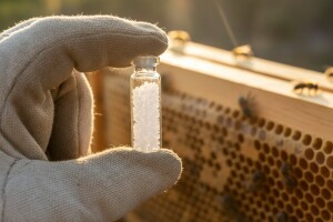 Adut Srbije i Makedonije - pčelinji otrov