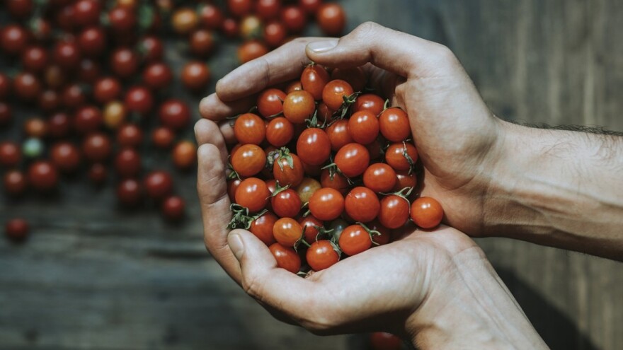 Objavljen je drugi natječaj za provedbu podmjere 17.1.