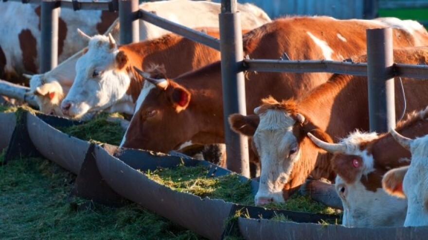 Aflatoksin opet prijeti