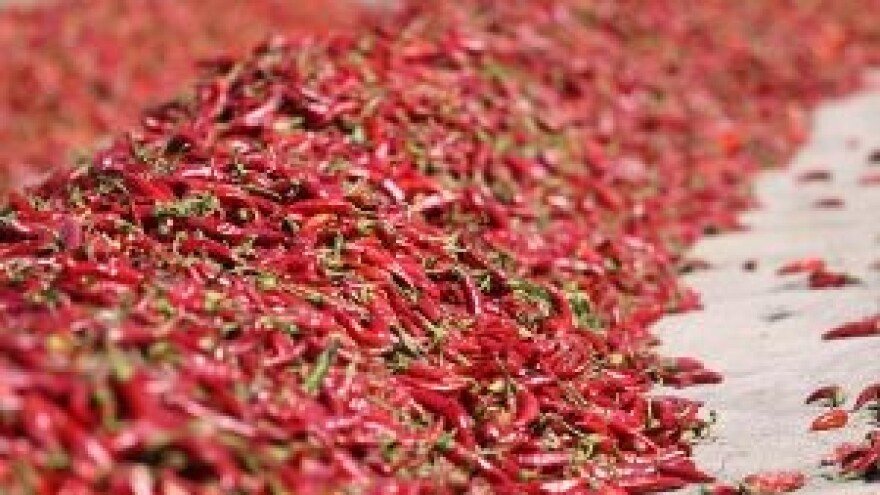 Uz pomoć Vidra-e do još jednog IPARD projekta