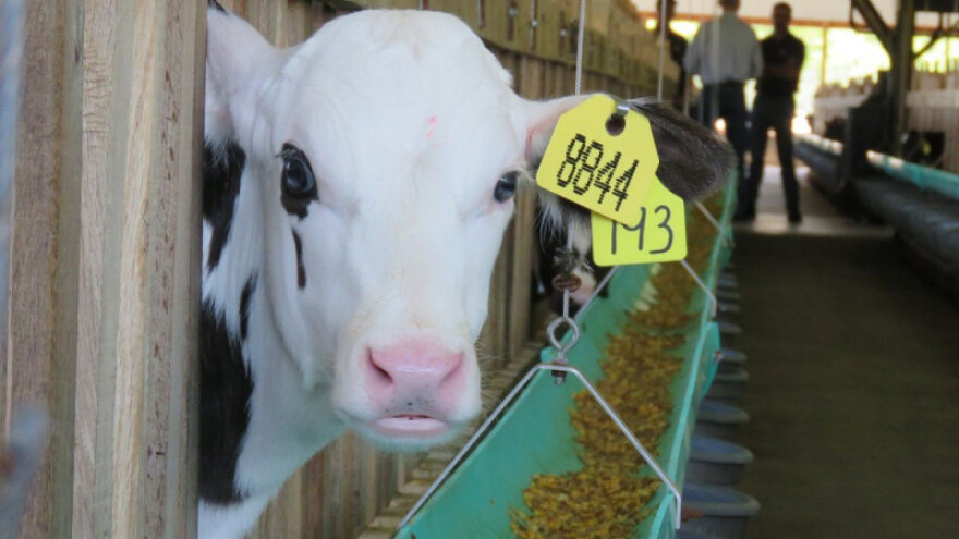 Obavijest korisnicima iz operacija 4.1.1. i 7.1.1.