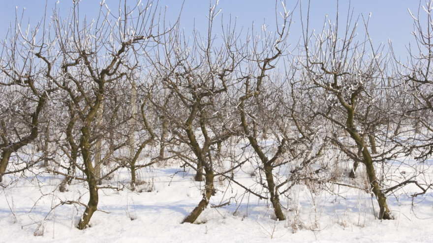 Od sredine sedmice promjena - šta donosi?