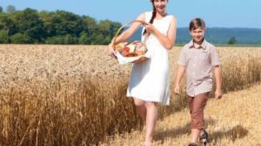 Agra 2014. u Gornjoj Radgoni