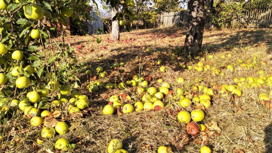 Koje su želje i mogućnosti naše agrarne politike?