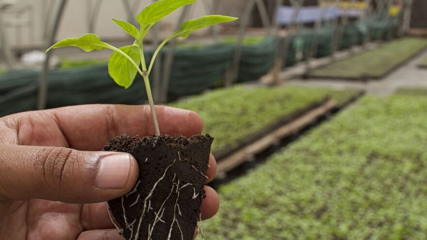 7,5 milijuna kuna za mala gospodarstva i osnaživanje nacionalnih manjina