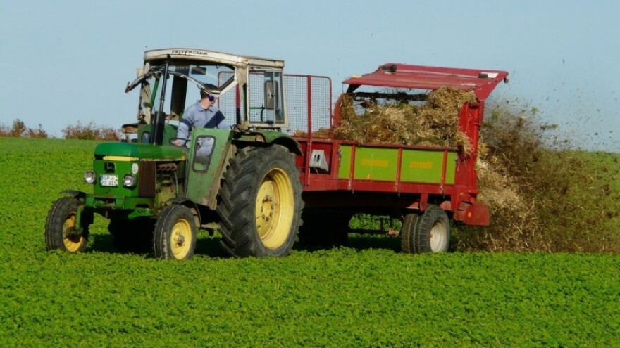Važnost gnojidbe djetelina i trava