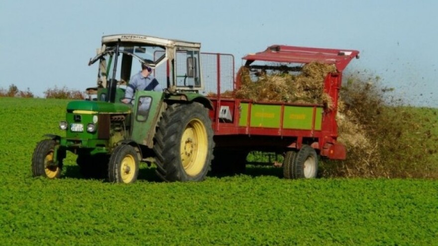 Važnost gnojidbe djetelina i trava
