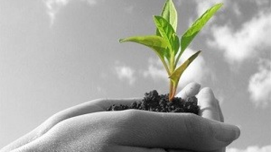 Jedino što pokreće razvoj jesu ulaganja i znanje