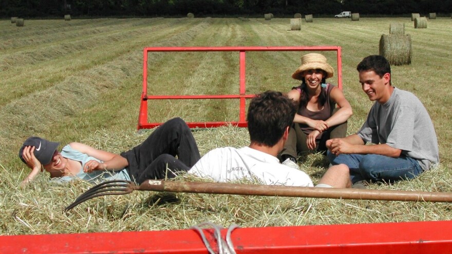 24-satni ruralni izazov za mlade osobe - najboljim ekipama odgovarajuće nagrade