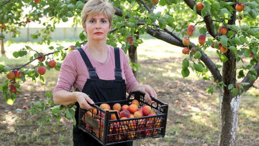 Podrška ženama i mladim poljoprivrednicima