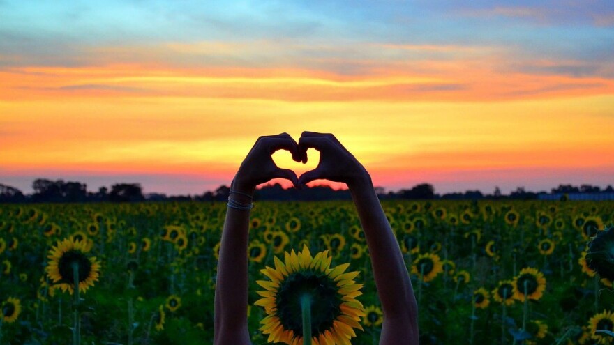 Ljubav i poljoprivreda spojili Srpkinju i Haićanina