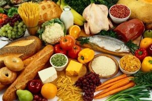 Agri-Food 2013
