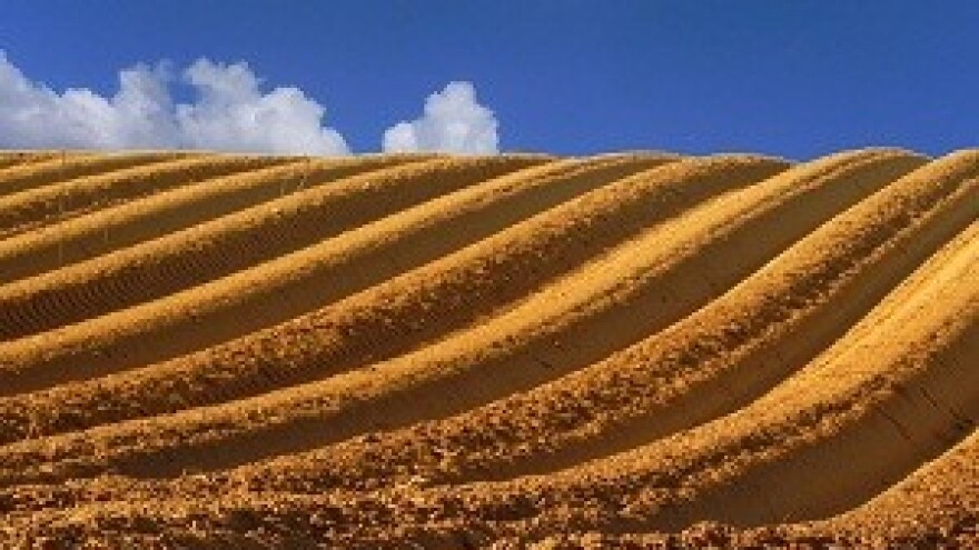 Kina "kupuje" ukrajinsko zemljište?