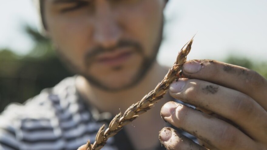 Softver za upravljanje poljoprivredom!