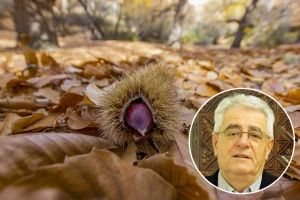 Topao listopad - mrzla veljača?