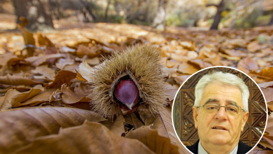 Topao listopad - mrzla veljača?