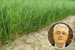 Kiša će uskoro razveseliti mnoge ratare