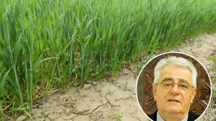 Kiša će uskoro razveseliti mnoge ratare