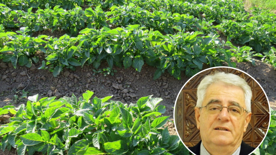 Tjedna akumulacija topline bit će veća od prosjeka i za 30 posto, stiže li još kiše?