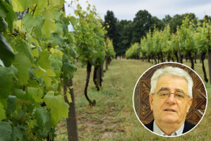 Tlo je napokon umjereno vlažno - vrijeme je za obavljanje poslova