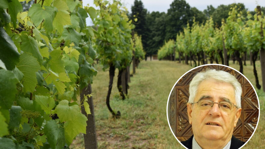 Tlo je napokon umjereno vlažno - vrijeme je za obavljanje poslova